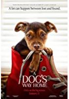 A Dog's Way Home (2019)