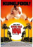 Beverly Hills Ninja (1997)
