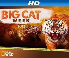 Big Cat Week (2012)