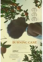 Burning Cane (2019)