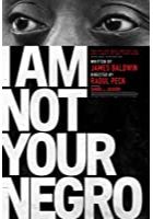I Am Not Your Negro (2017)