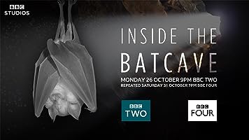 Inside the Bat Cave (2020)