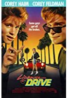 License to Drive (1988)