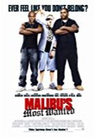 Malibu's Most Wanted (2003)