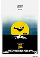 Man on a Swing (1974)