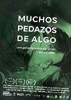 Many Pieces of Something (2015)