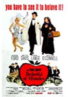 Pocketful of Miracles (1962)