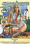 Sunburn (1979)