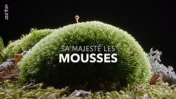 The Magical World of Moss (2023)