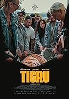 Tigru (2023)