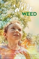 Waldo on Weed (2019)