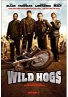Wild Hogs (2007)