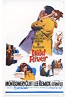 Wild River (1960)